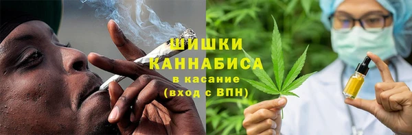 спиды Богородск