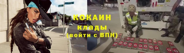 спиды Богородск