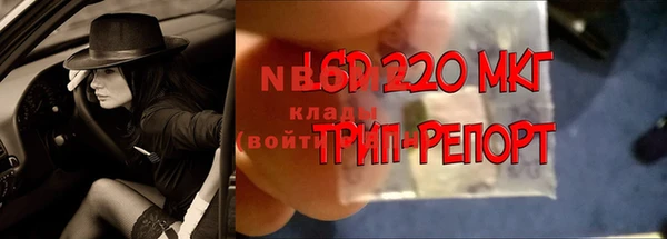 мяу мяу кристалл Богданович