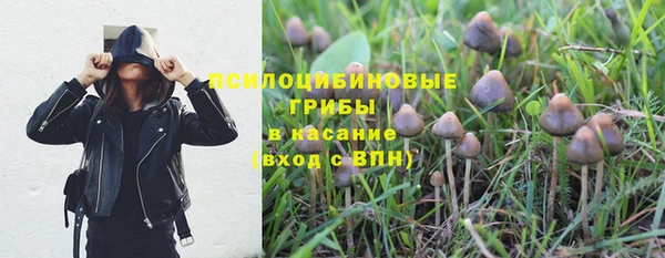 спиды Богородск