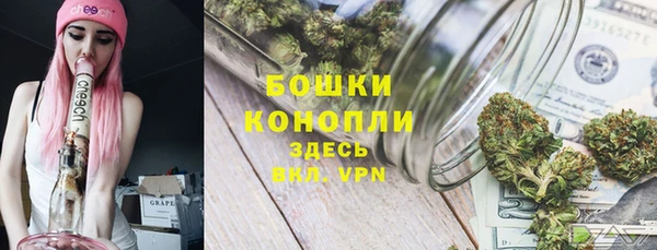 мяу мяу кристалл Богданович